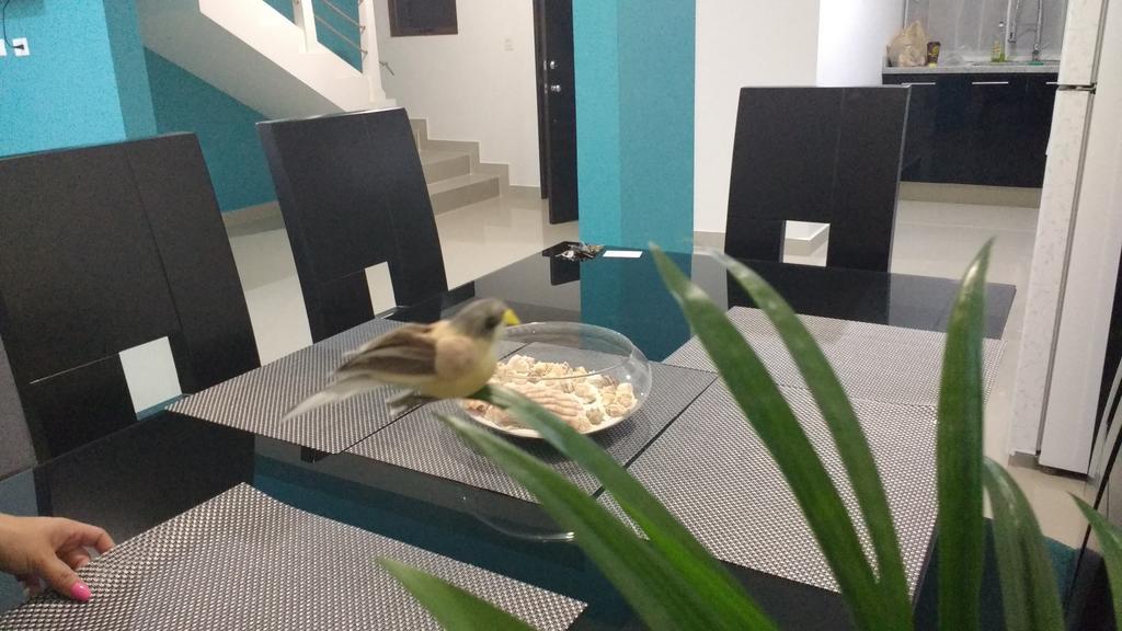 הוילה מזטלן Hogar Pacifico מראה חיצוני תמונה